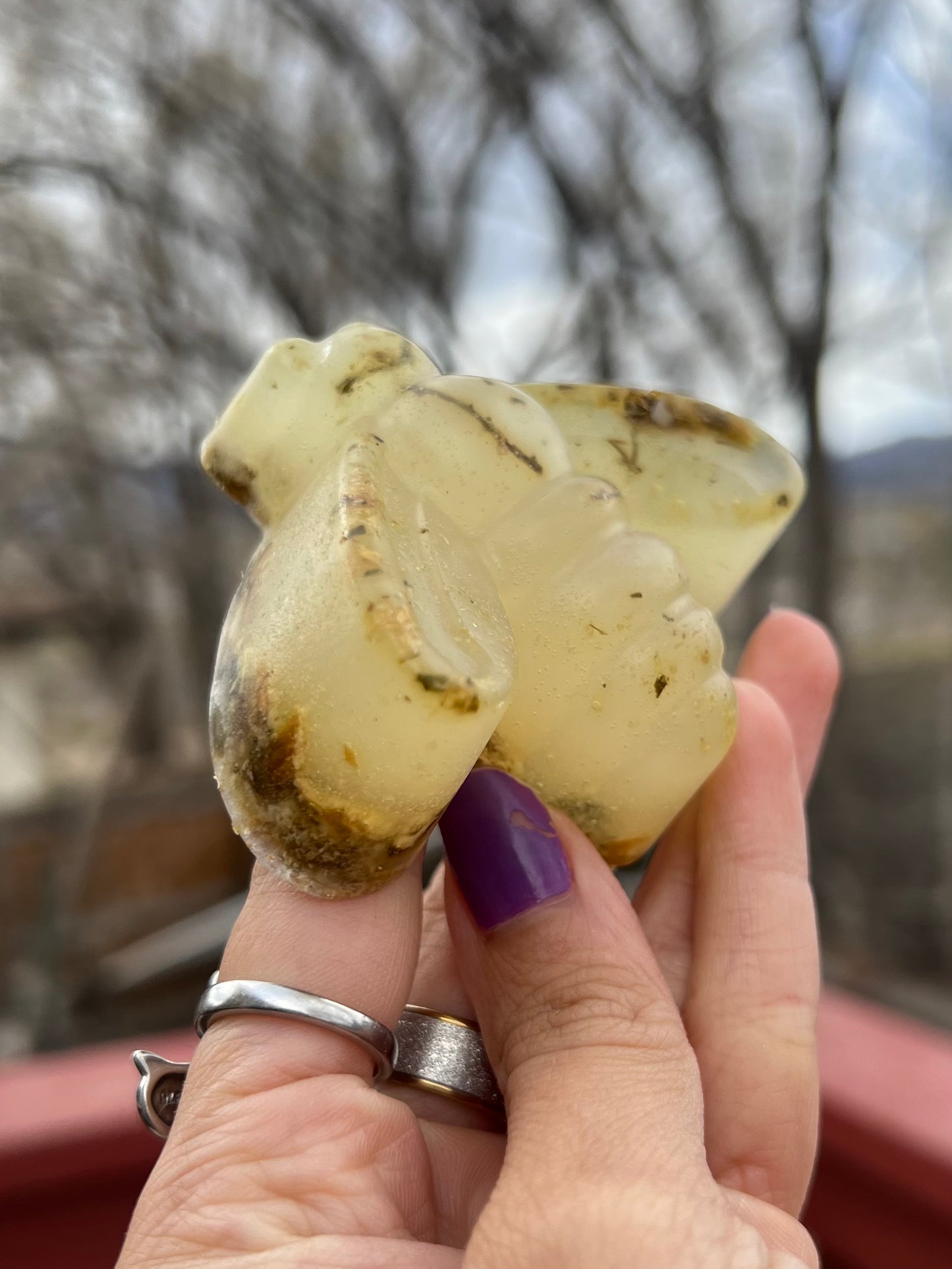 Kayboo Beauty Coconut Vanilla Body Soap