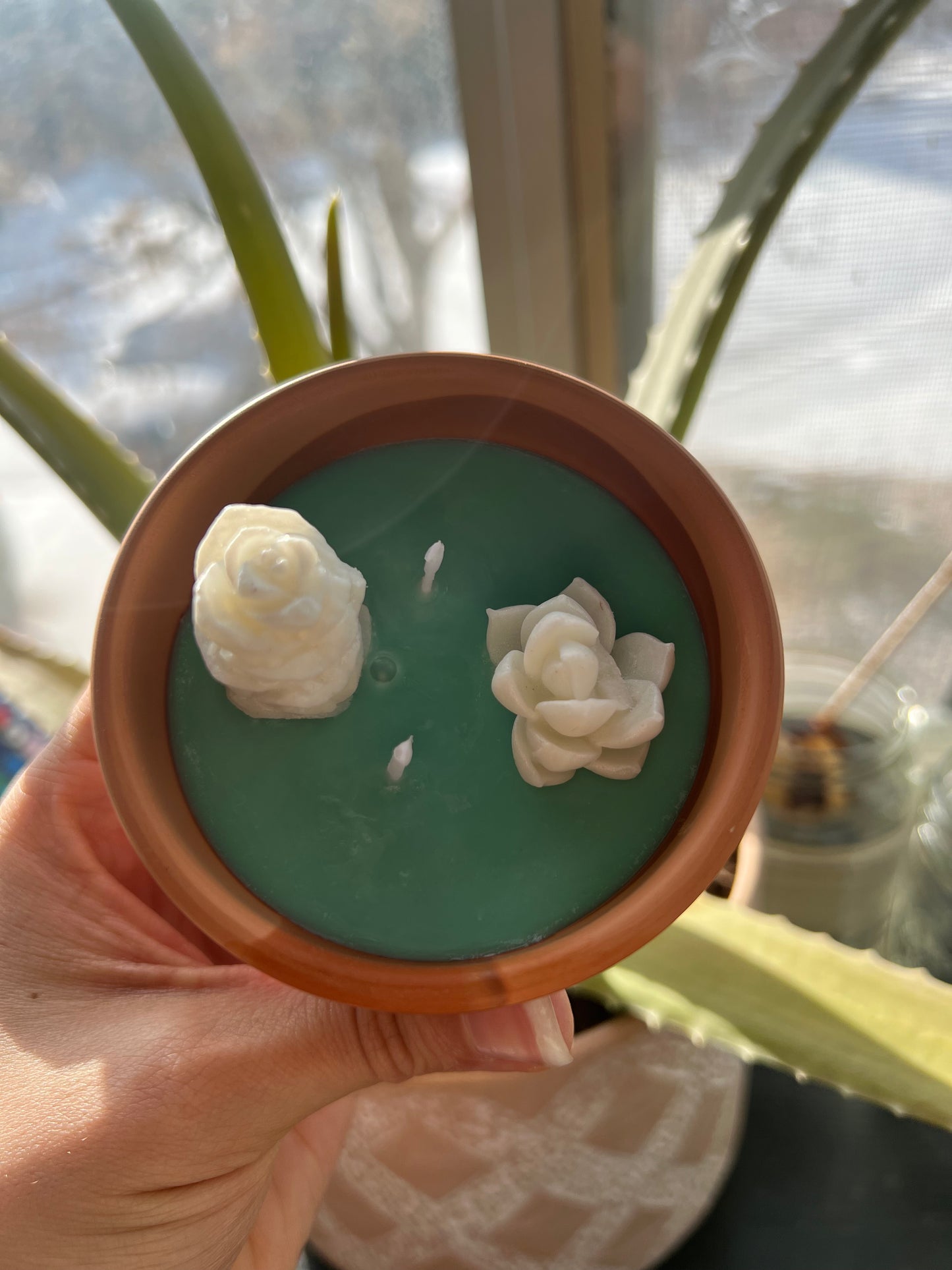 Kayboo Beauty Organic Light Peppermint Vanilla Soy Wax Plant Candle
