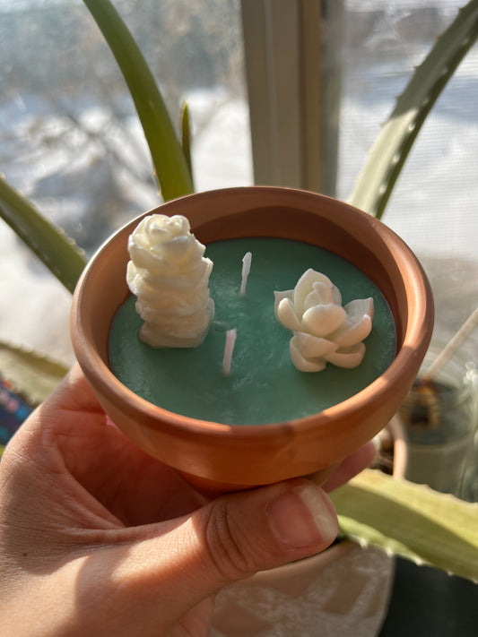 Kayboo Beauty Organic Light Peppermint Vanilla Soy Wax Plant Candle