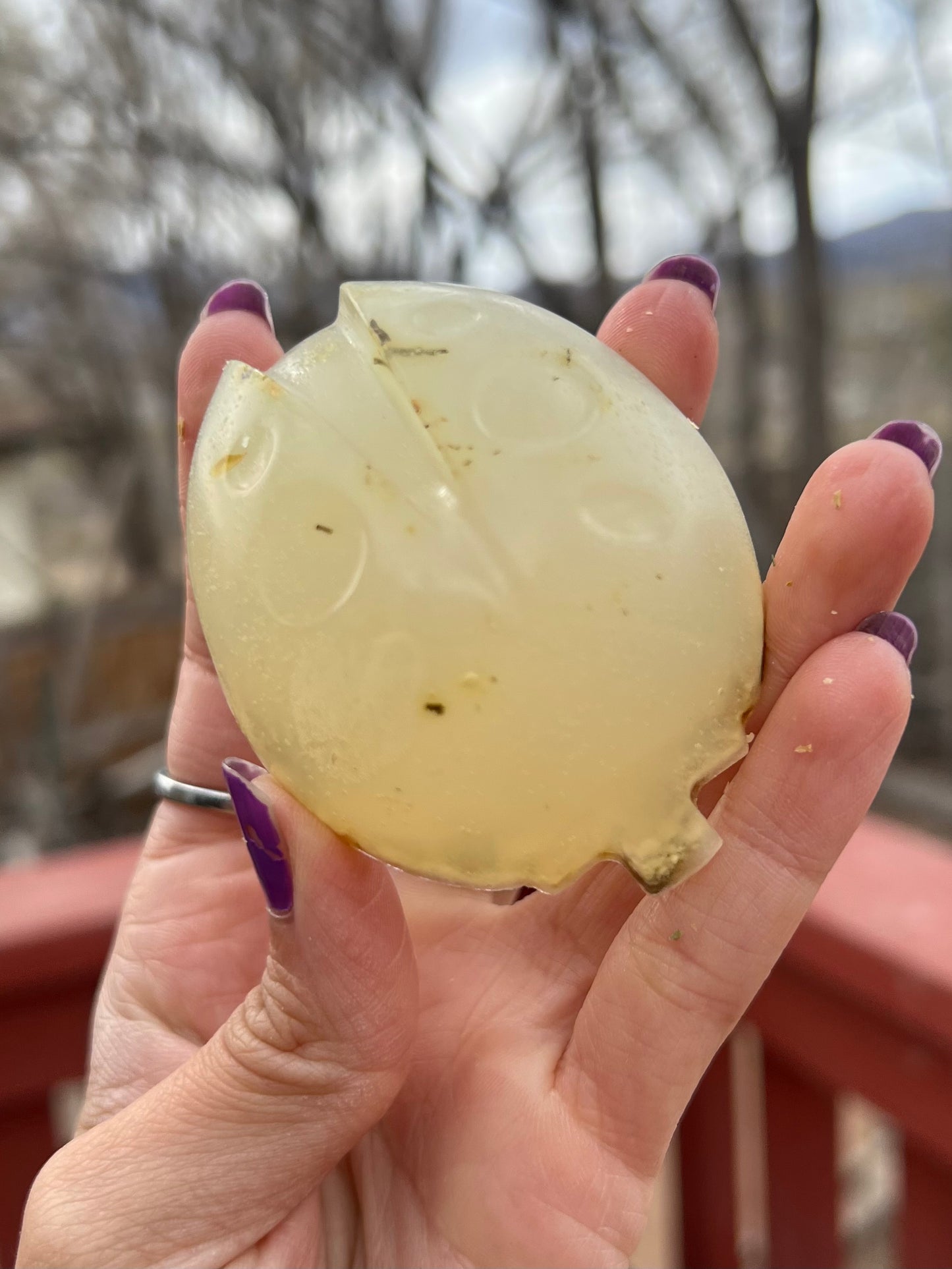 Kayboo Beauty Coconut Vanilla Body Soap